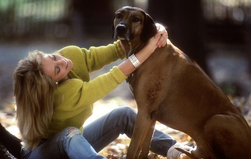 Любка, 33 года, 1 размер груди